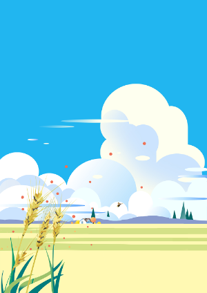 夏の雲と麦畑