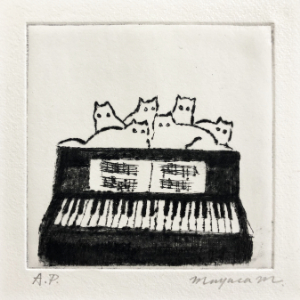 熱視線 (The Piano Lover)